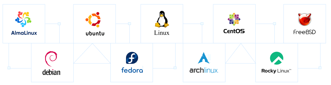 Popular apps you love, Optimized for full performance | MilesWeb India