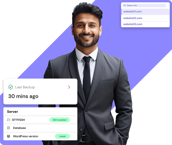 Best WordPress Hosting for Agency | MilesWeb India