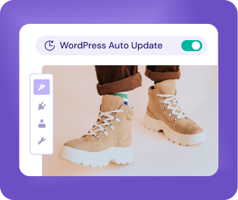 Automatic WordPress updates | MilesWeb India
