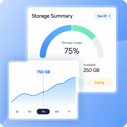 DirectAdmin Self-Hosting Storage for Better Control | MilesWeb India