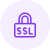 A free SSL encryption | MilesWeb India