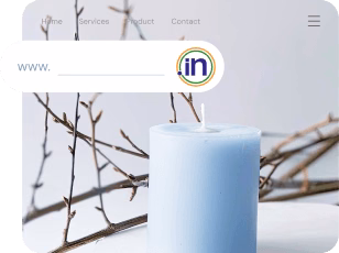 .IN Domains | MilesWeb India