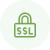 Free domain & SSL | MilesWeb India