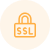 Free SSL certificate | MilesWeb India