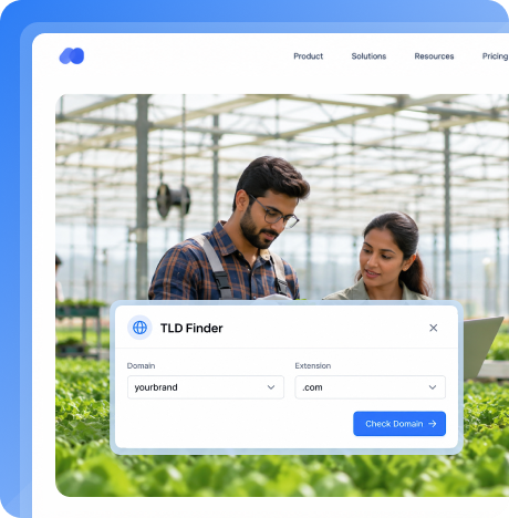 What is a Top Level Domain (TLD)? | MilesWeb India