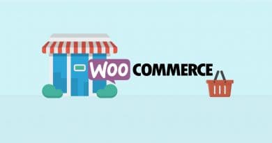 7-factors-make-woocommerce-fascinating-min