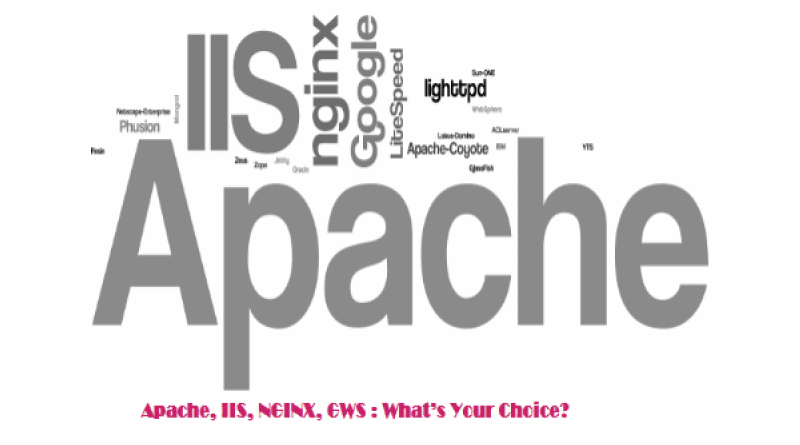 web server types