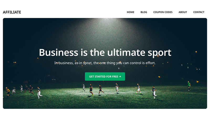affiliate-blogger-wordpress-themes