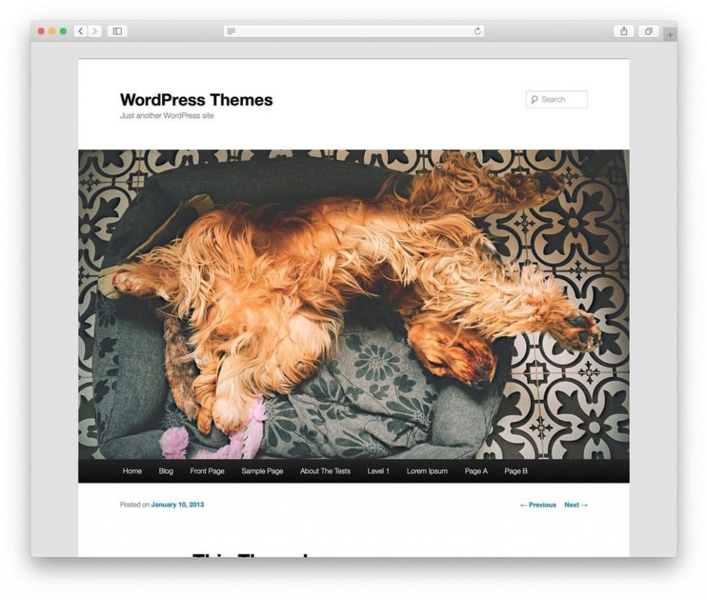 A Definite WordPress Themes Guide For Beginners
