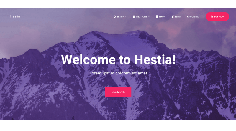hestia-best-wordpress-theme