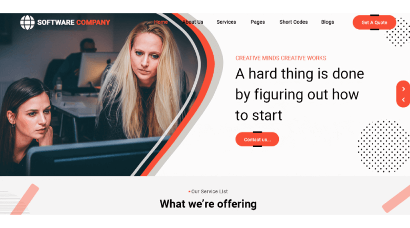 professional-software-company-wordpress-themes