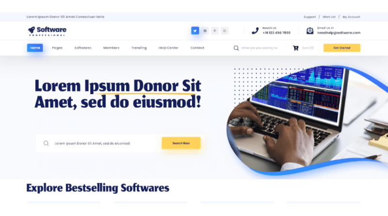 software-agency-wordpress-themes