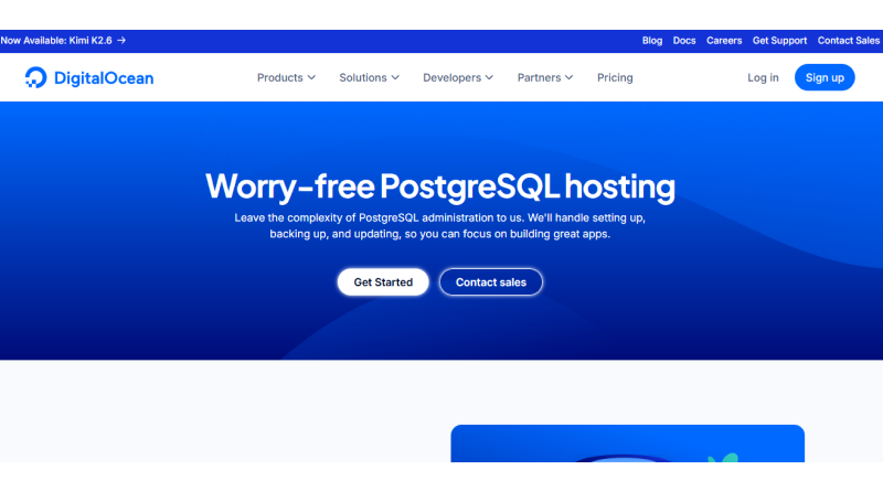 digitalocean-postgresql-hosting-india