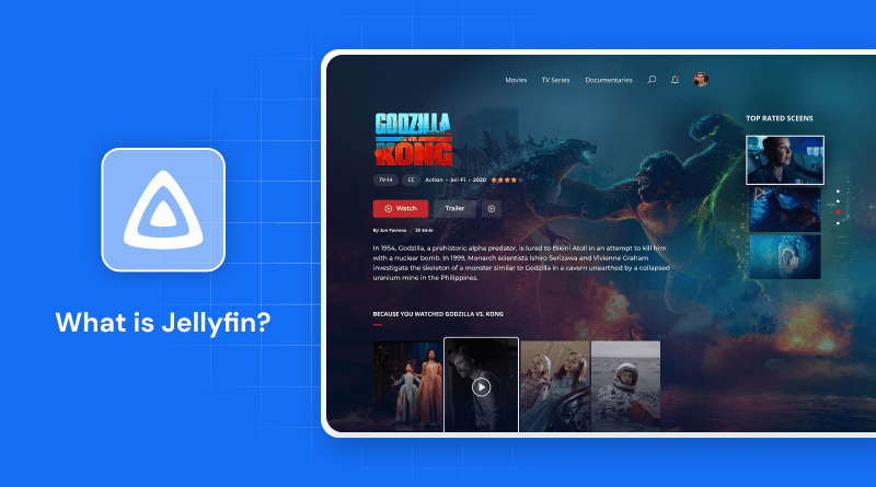 what-is-jellyfin