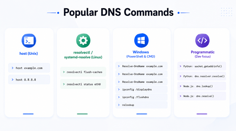popular-dns-commands