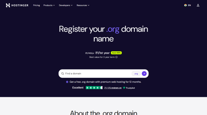 hostinger-domain-services