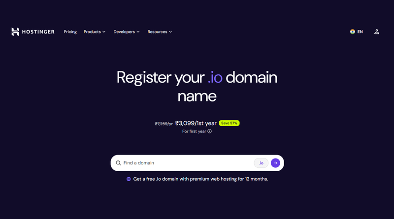 hostinger-io-domain-name-provider