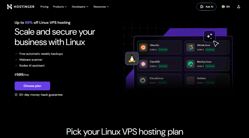 hostinger-linux-hosting-india