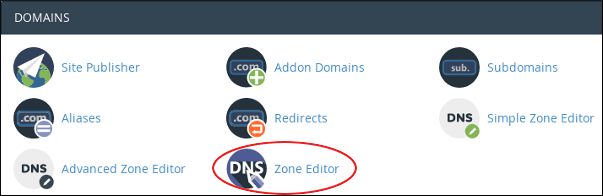 DNS7