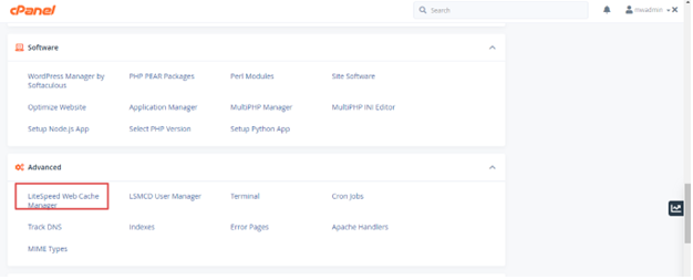 LiteSpeed Web Cache Manager
