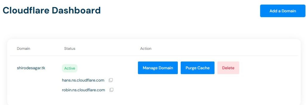 Managing Your Added Domain