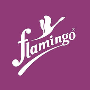 Flamingo Health